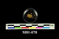 藏品(砂金)的圖片